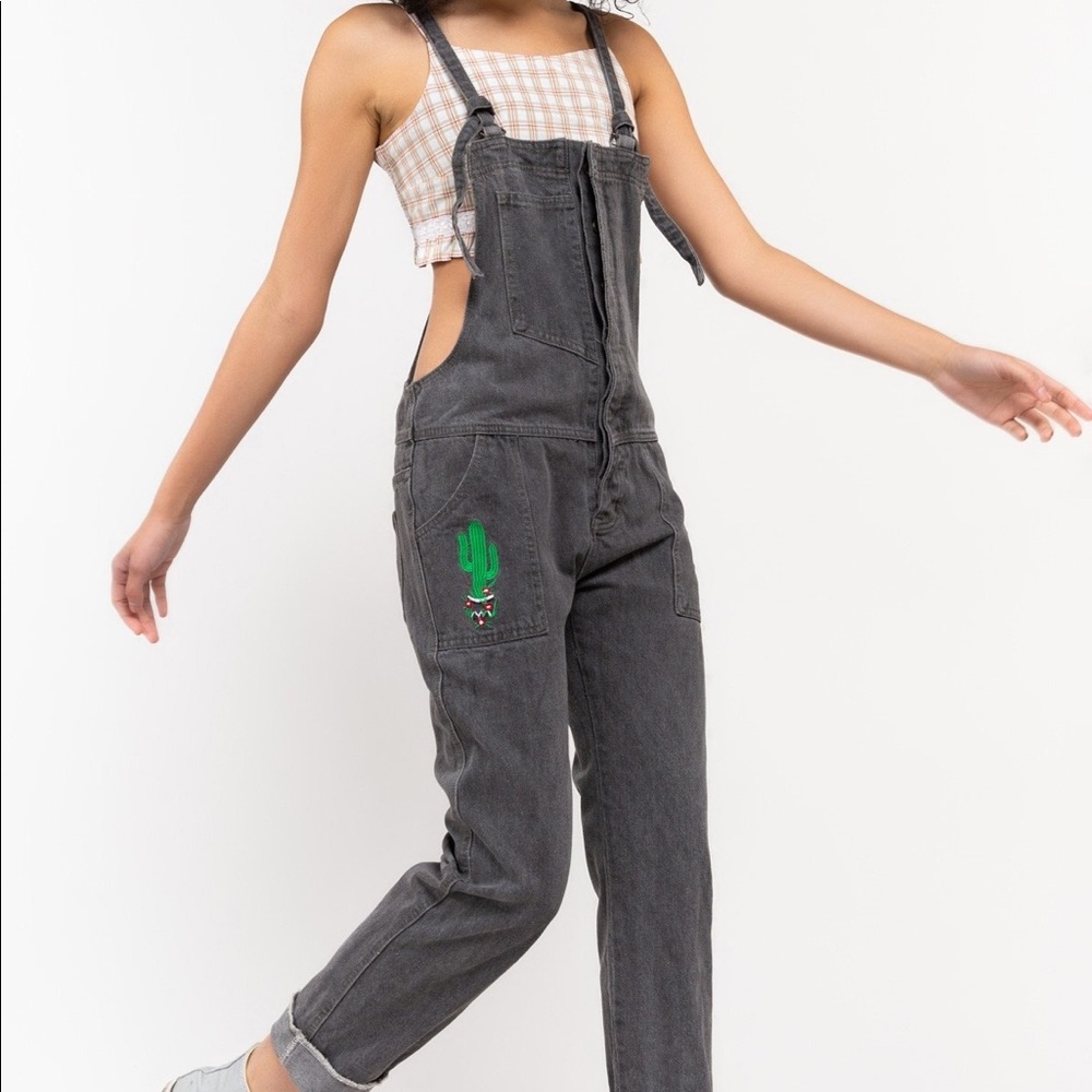 Gray cactus 🌵 overalls with front pocket panels; hidden buttons are intact.